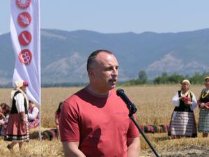 Министър Порожанов: Очаква се добра реколта от пшеница – над 6 млн. тона