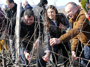 Виненият отрасъл в България има своето стабилно място и се