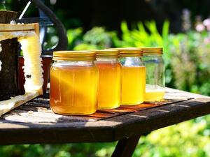 България е сред най-големите износители на мед на вътрешния пазар