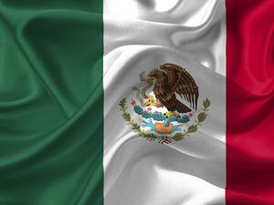 Мексиканският външен министър Марсело Ебрард заяви във вторник, че страната
