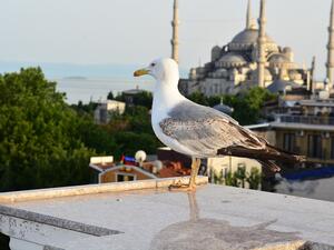 Турция се готви да приеме 75 млн. туристи през 2023 г.