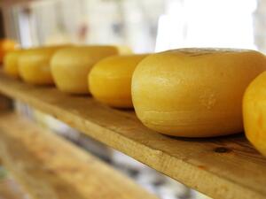 Цените на сиренето и кашкавала на държавната "Ел Би Булгарикум" скачат с над 50 на сто