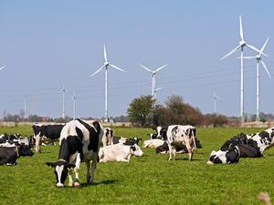 Производството на ток от ветрогенератори намалява от началото на годината