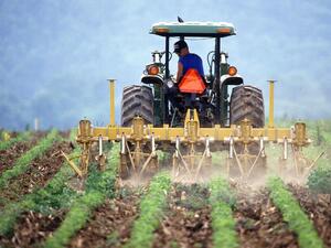 Млади фермери ще могат да кандидатстват за свободни земеделски земи от ДПФ