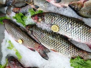 Прясна риба и морски дарове днес и утре на пазар в София 