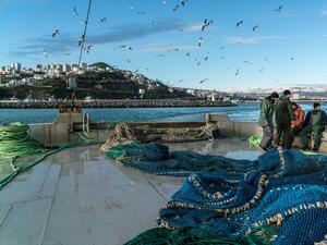 България е начело на насърчаването на устойчив риболов в Черно море