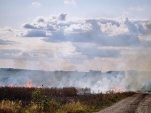 Опожарените земеделски площи се считат за временно неподходящи за субсидиране