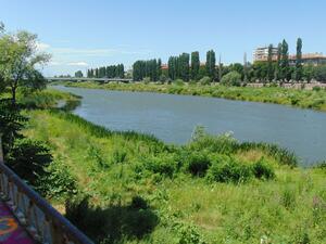 Няма опасност за водата на Пловдив заради отровената риба