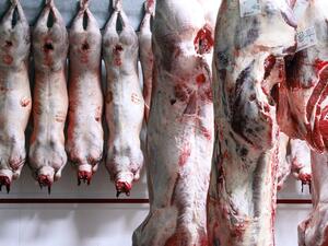 Високата консумация на месо застрашава бъдещите доставки на храни, твърди доклад