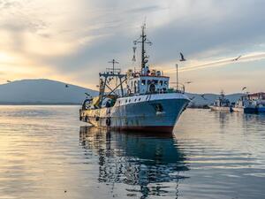 България и Румъния разработват общ план за контрол върху рибарството в Черно море
