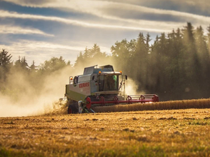 Производствените цени в селското стопанство падат с над 20% в края миналата година
