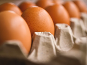 Пилешкото и яйцата са поскъпнали с 30 на сто за година