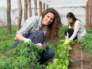 ООН обяви 2026 за Международна година на жената фермер