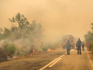 Пожарите са източили европейските бюджети с 4.1 млрд. евро