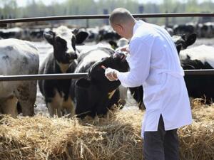 Над 18.7 млн. лв. за имунизации на животните са изплатени тази година