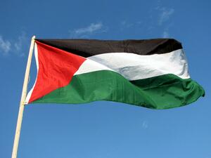 ООН повиши статута на Палестина в държава-наблюдател