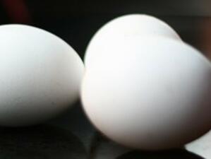 Не са открити яйца от Полша с изтекъл срок на годност