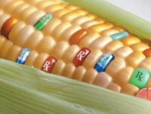 Кипър въвежда регулация на храните с ГМО