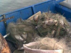 Иззеха бракониерски мрежи с половин тон риба в Бургас
