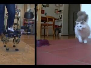 Робот тича като котка