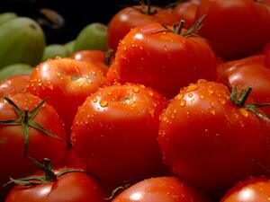 На места в страната доматите още струват 20 ст.