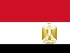 Камал ел Ганзури е новият премиер на Египет*