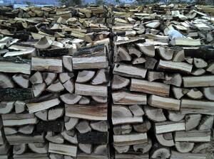 Осигурени са 1 220 хил. кубика дърва за огрев