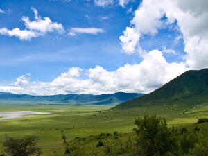 <p><strong>Танзания</strong></p>
<p>Ако искате да преживеете истинско приключение, това е дестинацията за вас. Танзания е дом на някои от най-забележителните сафарита и природни паркове, сред които Серенгети</p>