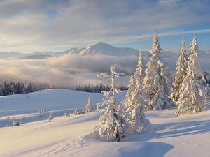 Красотата на зимата в снимки