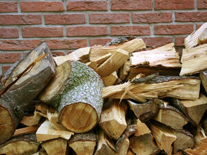 Износът на дървесина в Пазарджишко рязко намаля