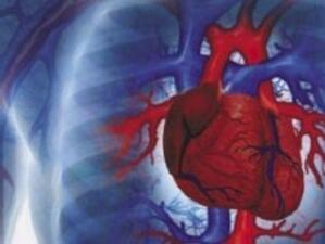 България е на първо място в ЕС по внезапна сърдечна смърт