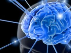 Мозъкът продължава да се развива и след 40-годишна възраст