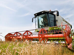 80% загуби за зърнопроизводителите заради лошото време