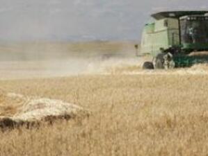 Търновски земеделци недоволни от държавната цена на зърното