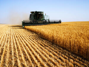 Зърнопроизводителите излизат на национален протест