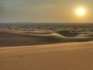 ООН даде старт на десетилетието за борба срещу настъпващите пустини