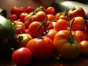 Със 72% е нараснал износът на български зеленчуци за една година