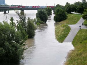 Движението по Дунав мост при Видин ще бъде временно спряно утре