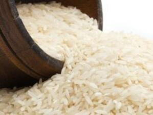 Създадоха генетично модифициран ориз