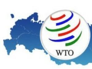 ЕС приветства споразумението между Русия и Грузия за СТО