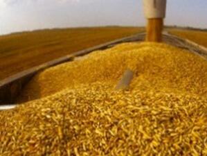 Производител на жито: "Ако изляза на нула, ще бъда доволен"