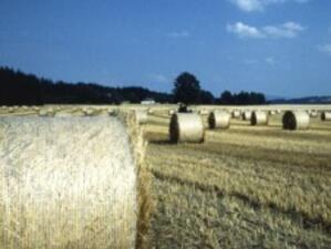 ЕК стартира публичен дебат за общата селскостопанска политика