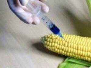 Надписите на етикетите за съдържание на ГМО - с по-голям шрифт от основния