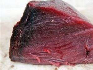 ООН призова за забрана на износа на риба тон