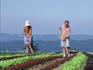 Ясни са тенденциите към застаряване на земеделците в Европа
