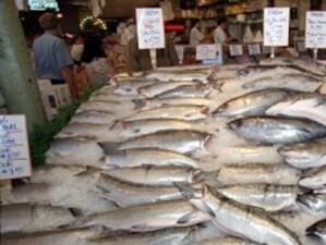 "Ще продаваме риба пред община Варна", заканиха се търговци