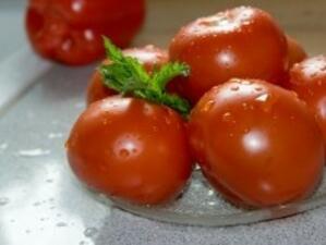 Оранжерийните домати с 25% ръст на цената