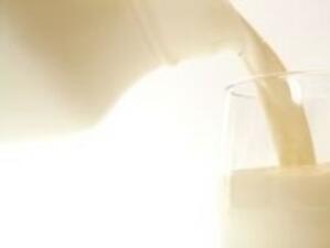 Пет държави в ЕС са превишилите млечните квоти за 2010/2011 година