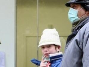 Все още е рано за обявяване на епидемия от свински грип