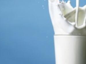 Франция иска спиране на либерализацията на млечния сектор